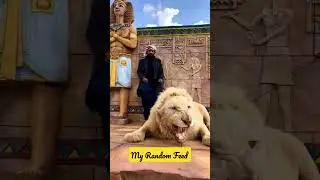 Dubai's 🇦🇪 Sheikh with white Lion pet at home🦁#lion  #animallover .🐯#dubai #shorts#uae #animals