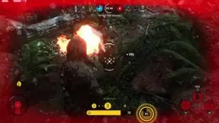 Clutch Chewie