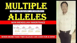 Multiple alleles | UG,PG,SET,NET,NEET | By: Dr. R. N. Chavhan