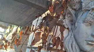 Сильнейший обряд на благосостояние. 