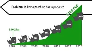 Saving the Wild Rhino