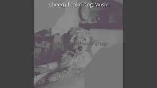 Background for Calming Dogs