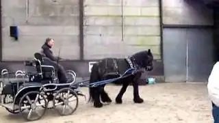 Balder krijgt les van de grote 
