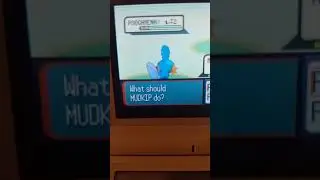 Shiny Mudkip Soft Reset Fail