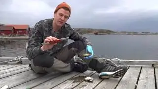Thomas Sjögren tipsar: Ostron