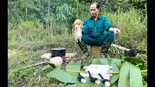 Catch bamboo rat, bird hunting, cooking in the forest, suvival alone || Life In The Forest