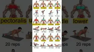 Full Body Workout at Home   Equipment | Burn Fat & 🔥 Build Muscle Fast #FullBodyWorkout #motivation
