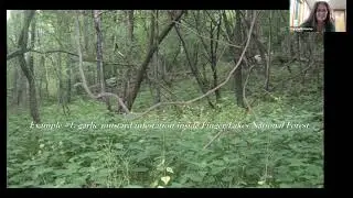 Ecological Landscaping with Native Plants in the Finger Lakes