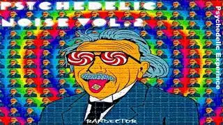 Psychedelic Noise VOL.2 (Randector VA Mix)