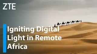 ZTE | Igniting Digital Light in Remote Africa — Signal Reach