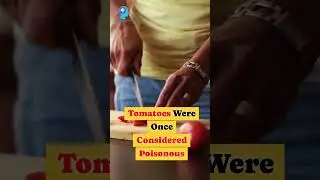 Tomatoes Were Once Considered Poisonous!