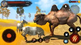 The Camel Android Gameplay / Animal Game Simulador