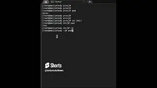 pwd command in Linux  #pwd #Linuxstudy #linuxinterviewquestions #linuxshorts #linux #linux_tutorial
