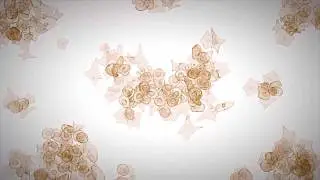 The Science Behind RepliCel