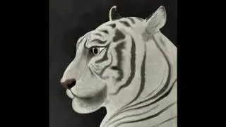 Tigre blanco Nelson Tiapa