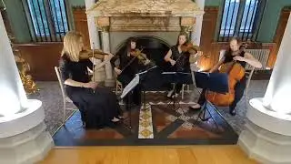 Strings4u | String Quartet | Surrey
