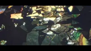 Max Cooper - Supine Official video by Tom Geraedts