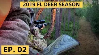 RIFLE OPENER | North FL Firearms Season | Public Land | Day 2 - 3