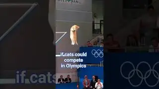 Olympics cat diving (AI)