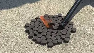 Lighting 72 black snake fireworks🔥🔥🔥