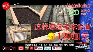 这样能省120加元 I Hügelkultur Raised Bed Save You $120 I 枫玩 I S03E11