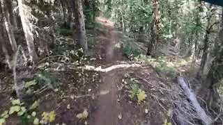 Fall MT Single Track