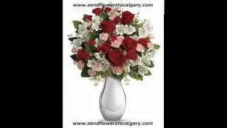 Envoyez les fleurs a Calgary