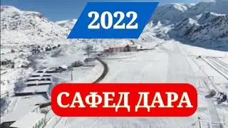 САФЕД  ДАРА 2022