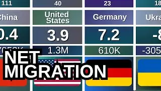 Net Migration | Which Country Gained The Most People? 📈