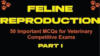 Veterinary MCQs with Answers on Feline Reproduction || Veterinary Question Bank ||