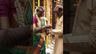 9 August.. happy rakshabandhan &hearts;️😍🫣 #viralvideo #love #shortsviral #viral #bhakti #shorts #like
