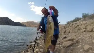 Fishing With DUO #72: Massive barbel on Realis Spinbait 80 by Markos Vidalis.