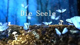 Die Seele existiert tats&auml;chlich