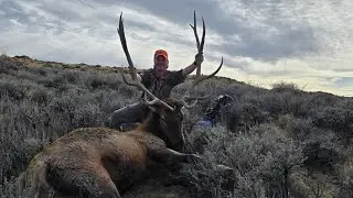 Wyoming limited entry bull elk hunt #vortex #elkhunting #wyoming #bull #hunting 