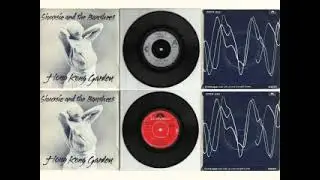 SIOUXSIE & THE BANSHEES - Hong Kong Garden 7