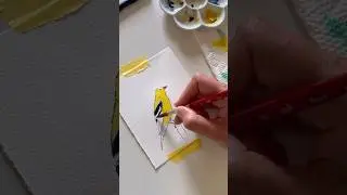 American goldfinch #birdpainting #watercolorpainting #goldfinch
