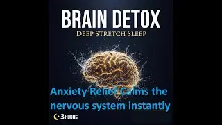3 hour music Anxiety Relief Calms the nervous system instantly