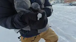 Ring Recovery in the Snow.