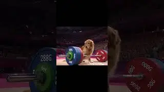 strong dog #strength #strong #dog