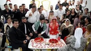 Part of Mohamad & Shayan's wedding, the henna ceremony is a cherished tradition for generations