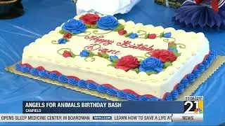 Diane Less: An angel for valley animals