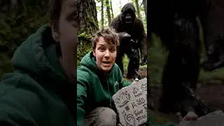 Bigfoot Ruined My Ads Again&hellip; With Inkberries 😤