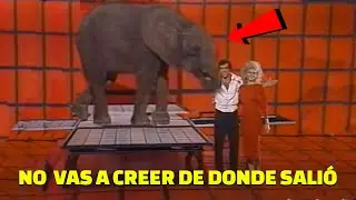 INCREIBLE DAVID COPPERFIELD aparece un ELEFANTE de la NADA  - Truco Revelado