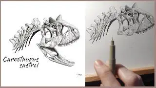 how I made this illustration | CARNOTAURUS SASTREI #inkart #carnotaurus