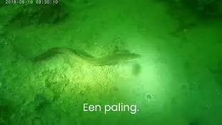 Plompe toren en Zeelandbrug