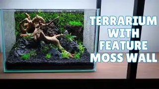 Creating a feature moss wall terrarium using Yokuchi substrate & aquatic plants | Step-by-step Guide