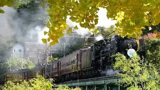 【2025紅葉の安谷川橋梁＆荒川橋梁】秩父鉄道 C58「SLパレオ」他 [Chichibu-Railway Class C58 