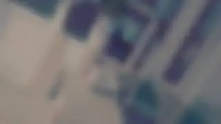 Milena djokovic baka i unuci