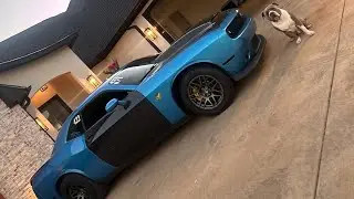 Новая модификация! Двери из карбонового волокна от @andersoncomposites для Twin Turbo Scat Pack.