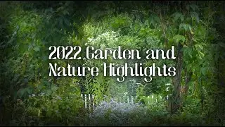 Garden and Nature Highlights 2022 || A Wild Approach